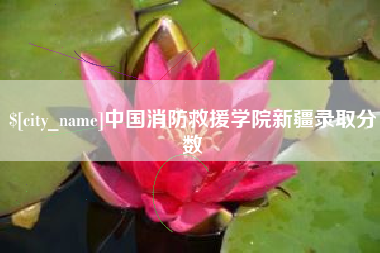 涉县中国消防救援学院新疆录取分数