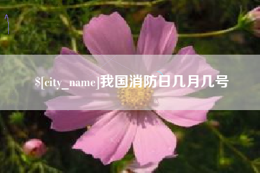 涉县我国消防日几月几号