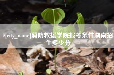 涉县消防救援学院报考条件湖南招生多少分