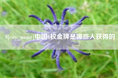涉县中国6枚金牌是哪些人获得的