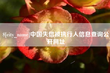 涉县中国失信被执行人信息查询公开网址
