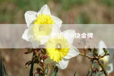 涉县奥运会39块金牌