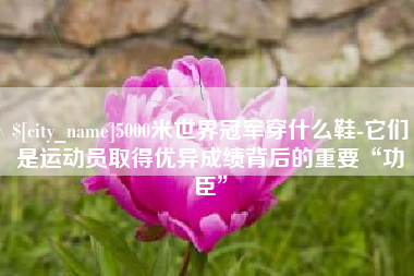涉县5000米世界冠军穿什么鞋-它们是运动员取得优异成绩背后的重要“功臣”