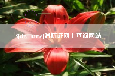 涉县消防证网上查询网站