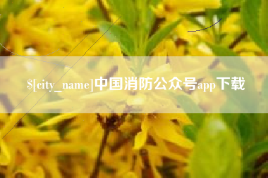 涉县中国消防公众号app下载