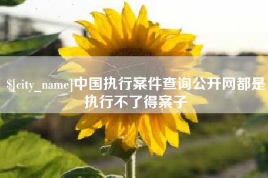 涉县中国执行案件查询公开网都是执行不了得案子