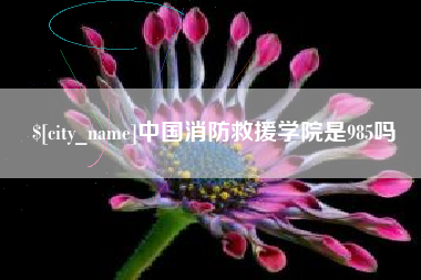 涉县中国消防救援学院是985吗