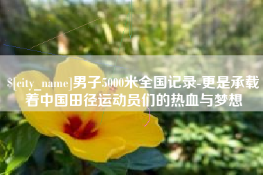 涉县男子5000米全国记录-更是承载着中国田径运动员们的热血与梦想