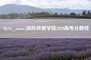 涉县消防救援学院2020高考分数线