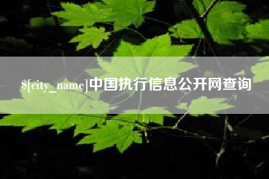 涉县中国执行信息公开网查询