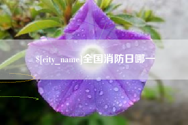 涉县全国消防日哪一