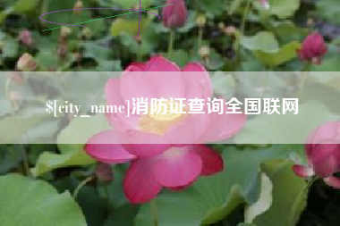涉县消防证查询全国联网