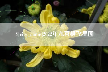 涉县2022年九宫格飞星图