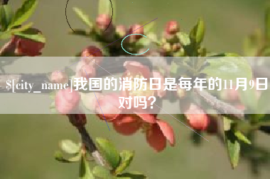 涉县我国的消防日是每年的11月9日对吗？