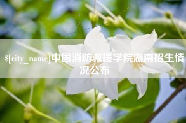 涉县中国消防救援学院湖南招生情况公布