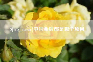 涉县中国金牌都是哪个项目