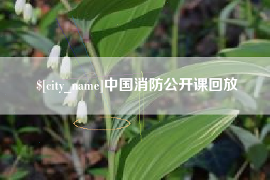涉县中国消防公开课回放