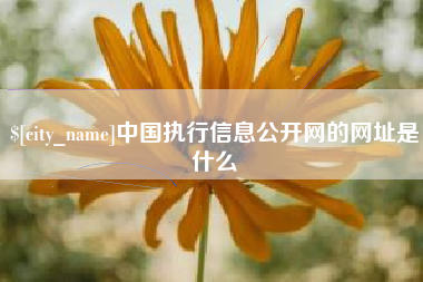 涉县中国执行信息公开网的网址是什么