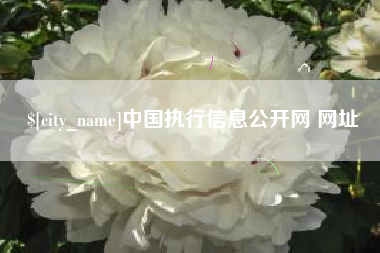 涉县中国执行信息公开网 网址
