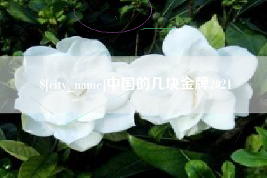 涉县中国的几块金牌2021