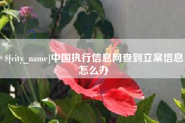 涉县中国执行信息网查到立案信息怎么办