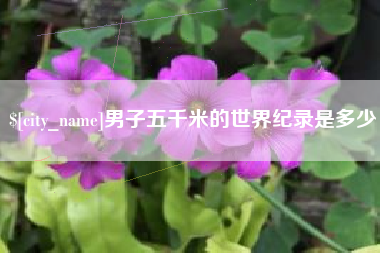 涉县男子五千米的世界纪录是多少