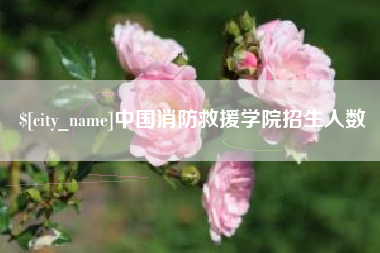 涉县中国消防救援学院招生人数