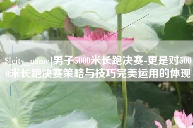 涉县男子5000米长跑决赛-更是对5000米长跑决赛策略与技巧完美运用的体现