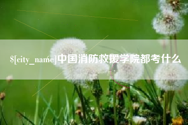 涉县中国消防救援学院都考什么