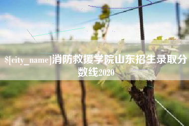 涉县消防救援学院山东招生录取分数线2020