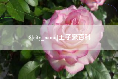 涉县王子豪百科