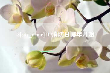 涉县119消防日哪年开始