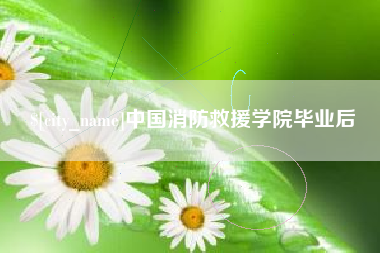 涉县中国消防救援学院毕业后