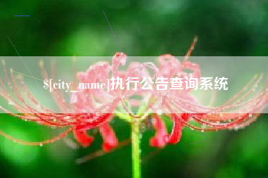 涉县执行公告查询系统