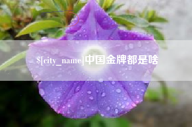 涉县中国金牌都是啥