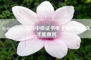 涉县消防中级证书电子版查询多久才能查到