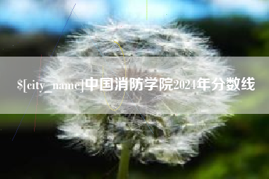 涉县中国消防学院2024年分数线