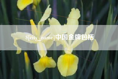 涉县中国金牌包括