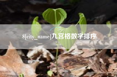 涉县九宫格数字排序