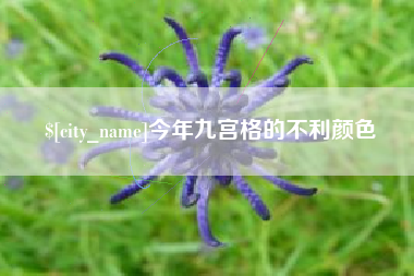 涉县今年九宫格的不利颜色
