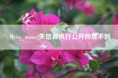 涉县失信被执行公开网查不到