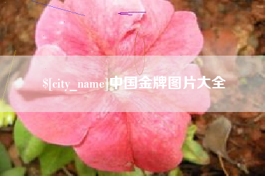 涉县中国金牌图片大全