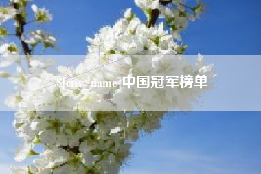 涉县中国冠军榜单
