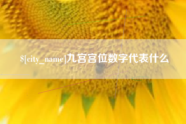 涉县九宫宫位数字代表什么