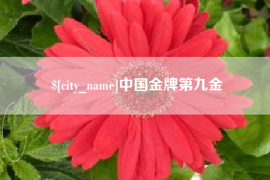 涉县中国金牌第九金