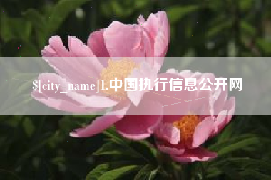 涉县1.中国执行信息公开网