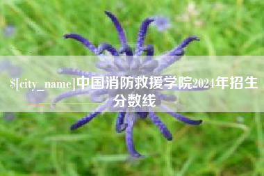 涉县中国消防救援学院2024年招生分数线