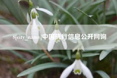 涉县中国执行信息公开网询
