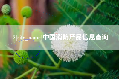 涉县中国消防产品信息查询