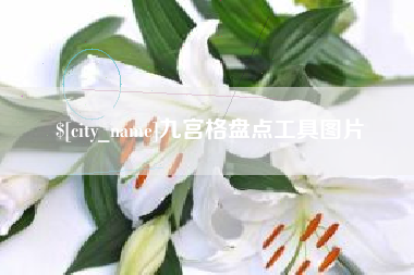 涉县九宫格盘点工具图片